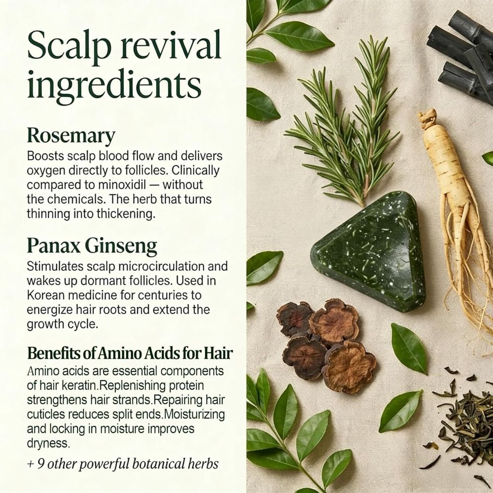 Rosemary Amino Acid Korean Sca – Hair Care Pantene Bewertung und Preis