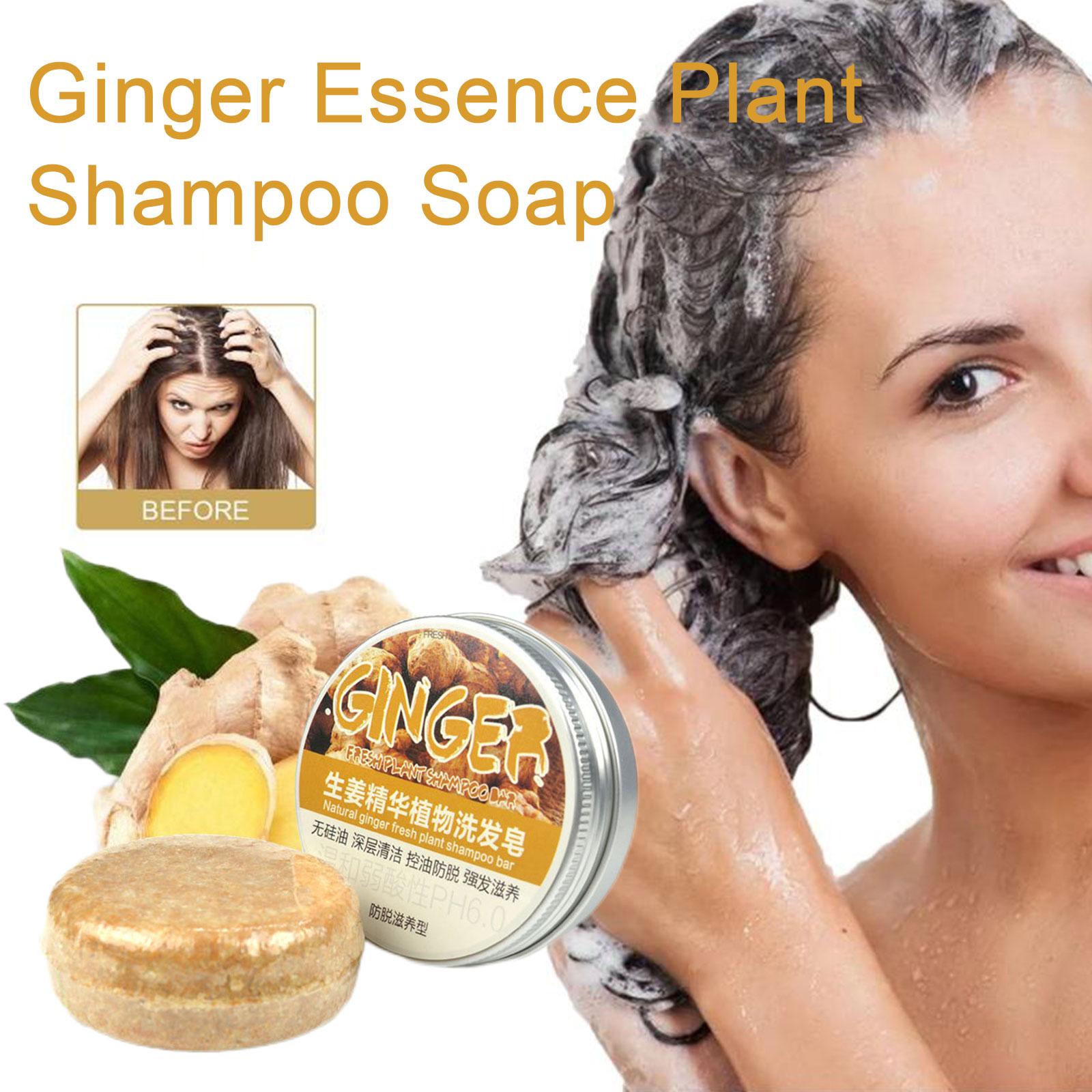 1/3/5/10pcs Ginger Polygonum S – Hair Care Pantene Bewertung und Preis